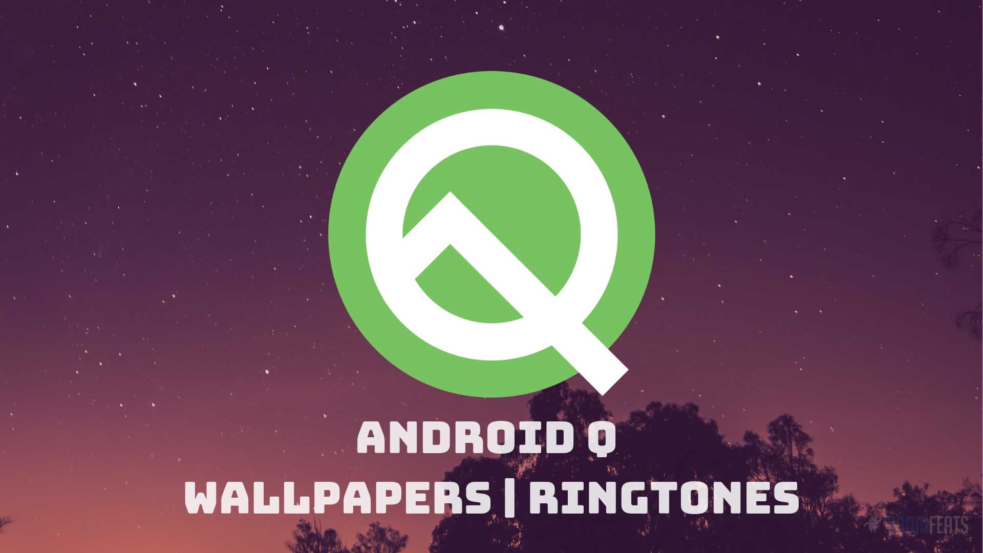 Download Android Q Stock Wallpapers (1080×1920) and Ringtones